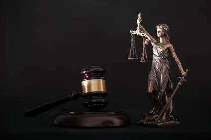 Amazon law