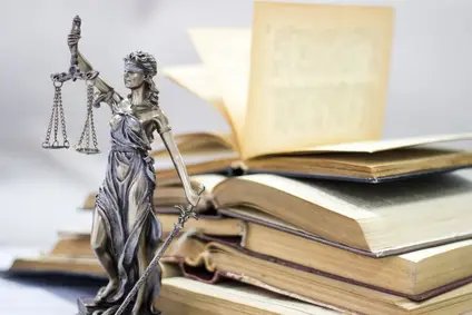lawyers