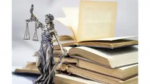 Amazon.com v. DeeDee Magee